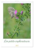 Les CALVENDO Les petits explorateurs (Calendrier mural 2027 DIN A4 horizontal), CALVENDO calendrier mensuel: Découvrez la magie des insectes !