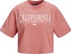 JJXX Jjxx Brook Relaxed Vint T-shirt Korte Mouwen L Vrouw Katoen Roze