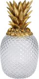 Kare Decoratiepot Pineapple Visible