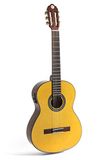 NAVARREZ Elektro Special Poppy Honey NV160, E-akoestische gitaar 4/4, natuur