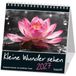 Kleine Kawohl Verlag GmbH Kleine Wunder sehen 2027