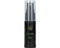 Shots - Pharmquests Cannabis With Hemp Seed Oil Delay Spray - 15 ml