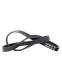 Dayco 4PK855 V-riem Poli V