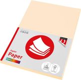 Quantore Kopieerpapier COL-50 A4 160gr Creme | 10 stuks