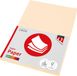 Quantore Kopieerpapier COL-50 A4 160gr Creme | 10 stuks