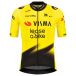 Tvl Team Visma Lease A Bike Replica 2026 Korte Mouw Wielertrui Geel 10 Years Garçon