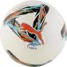 Puma Orbita Liga F Hyb Ballon de football multicolore 4