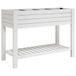 VidaXL Plantenbak verhoogd 110x45x79 cm polypropeen wit