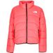 the-north-face Donsjack Brillant Coral 2000 voor dames