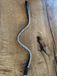 OnHorses V Browband Full White - V Frontriem Wit Full