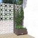 Maison Exclusive - Jardinière avec treillis, marron, 40 x 40 x 121,5 cm, PP