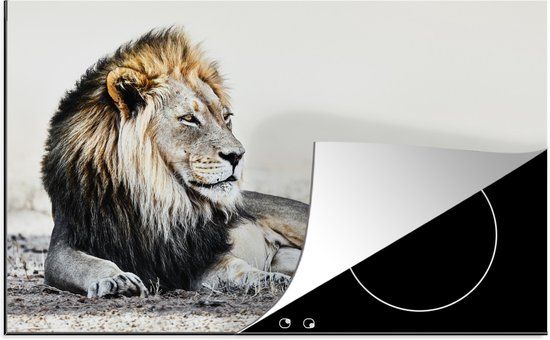 KitchenYeah® Inductie beschermer Leeuwen 77x51cm - Multicolor - Inductie kookplaat accessoire