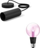 Philips Hue Lightguide Hanglamp (Noir) - E27 - Lumière blanche et colorée - Incl. 1 ampoule Hue Lightguide Globe Klein (G95) - Hue White and Color Ambiance