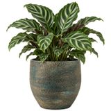 Floran planten / bloempot Madeira - blauw / goud - keramiek - D34 x H34 cm -