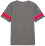 Puma Maillot IndividualRise TeamRise