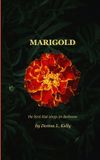 Marigold the bird that sings in darkness Paperback