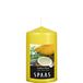 Spaas Geurende cilinderkaars 60/100 mm, ± 25 uur - Southern Citrus
