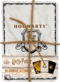 Blue Sky Harry Potter - Set of 3 A6 Hogwarts Crest Notebooks