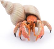 Papo Heremietkreeft 56054