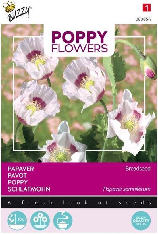 Buzzy® Poppies of the world - Papaver Blauwmaanzaad