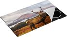 Chefcare Inductie Beschermer Hert in de Bossen - 90x55 cm - Multicolor