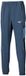 Mizuno Frontier Shadow Pantalon Bleu M Homme