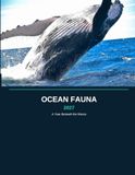 Ocean Fauna 2027: A Year Beneath the Waves — Monthly Wall Calendar with Notes Pages