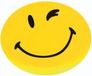 FRANKEN 'Happy' magnetische klem, houdkracht: 800 g, rond