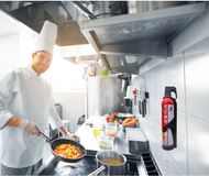 IWH REINOLD MAX spray anti-incendie STOP FIRE, sans fluor, 3 × 750 ml