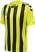Hummel Hmlcore Xk Striped Jersey S/S Sportshirt - Heren - Maat M - Groen