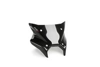 Puig 22093C Windscherm Nieuwe Generatie Sport Plus Carbon look
