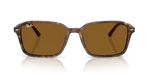 Ray-ban Raimond Rb 2231 Lunettes de soleil tendance Unisexe Marron Carrées Marron 56mm