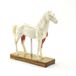 HeineScientific acupunctuurmodel paard