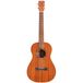 Cordoba U1B ukulélé ténor électro-acoustique