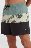 O'Neill Zwemkleding MIX & MATCH CALI BLOCK 15'' zwembroek Beige Venice Beach