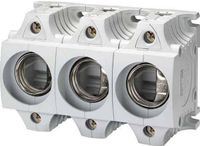 Siemens 5SF5268 Diazed zekeringsokkel Afmeting zekering: DIII 63 A 500 V/AC 1 stuk(s)