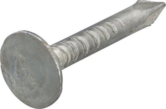 Homefix Asfaltnagels 3.0x20mm Verzinkt Staal Platkop DIN 1160 (1 kg)