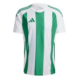 adidas heren Striped 24 Jersey Shirt, white/team green, XS