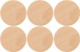 Glorex Hobby Houten schijven/cirkels/rondjes van dia 6 cm - 12x stuks - Hobby/knutselmateriaal - zelf decoreren/maken