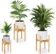 Merkloos Relaxdays Plantenstandaards set van 3 - Bamboe - Voor binnen