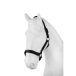 Horze Licol pour chevaux
