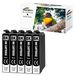 502XL cartouches d'encre noires, pack de 5, compatible
