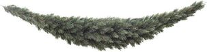 Triumph Tree Guirlande Swag Forest Frosted - L180 cm - Newgrowth Blue