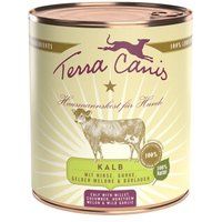 Terra Canis Classic Adult 6 x 800 g Kalf met gierst, komkommer, gele meloen en beerlook