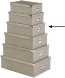 5Five Opbergdoos/box - 2x - beige - L36 x B24.5 x H12.5 cm - Stevig karton - Crocobox