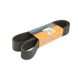 Dayco 12PK1300HD V-V-riem Poli V