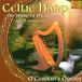 Sonic Rendezvous Aryeh Frankfurter - Celtic Harp. The Music Of O'carolan (CD)