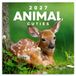 Presco Animal Cuties Kalender 2027 Wandkalender Dieren Bruin Wit