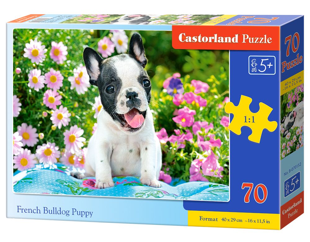 Castorland French Bulldog Puppy - 70 stukjes Puzzel - 5+ jaar