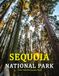 Sequoia National Park: A Beautifully Curated Coffee Table Book for Travel and Tourism Enthusiasts
